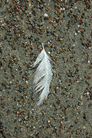 Moonstone Beach 032.jpg